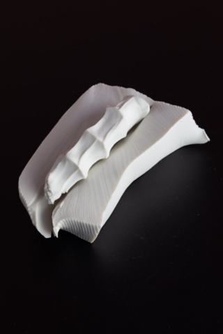 David Jones. cut and held. jpg